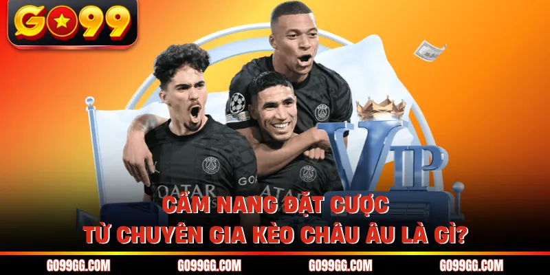 Cẩm nang đặt cược từ chuyên gia kèo Châu Âu là gì?