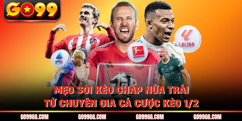 Mẹo soi kèo chấp nửa trái từ chuyên gia cá cược kèo 1/2